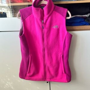 The a north Face vest